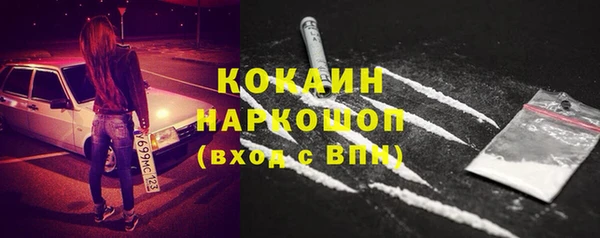 mix Инта