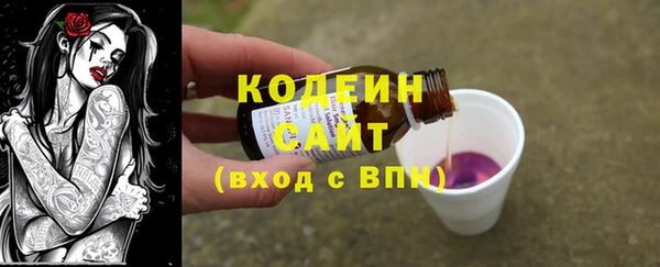 mix Инта