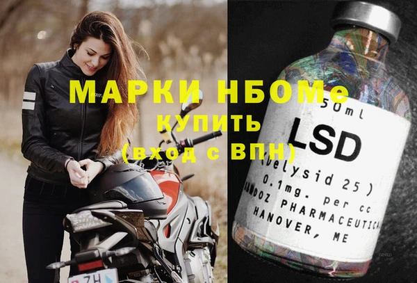 mix Инта