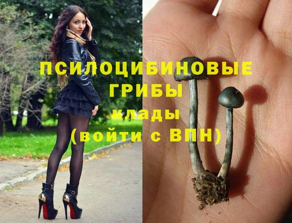 бошки Инсар