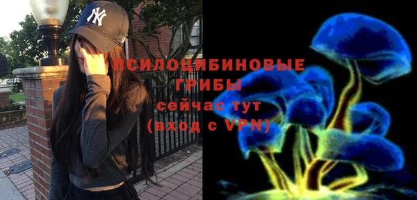 молекула духа Каменск-Шахтинский