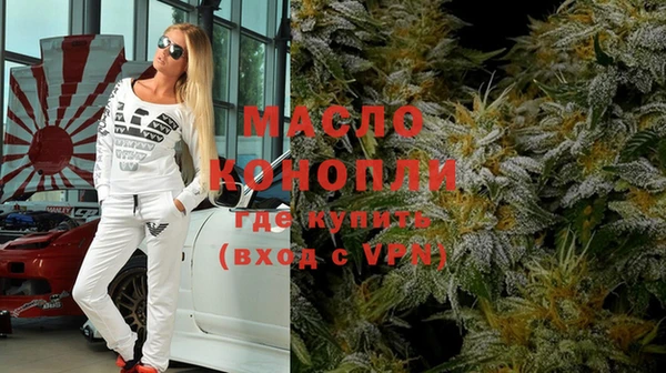 mix Инта