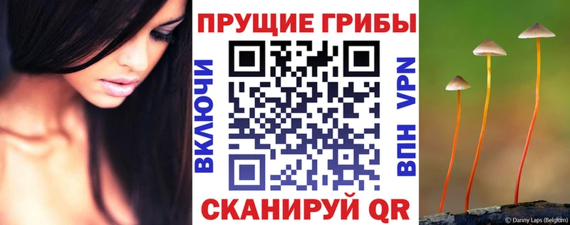 Галлюциногенные грибы мухоморы  Оленегорск 